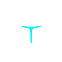 Thunderobot